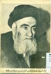 الامام السید میرزا عبدالهادی الشیرازی (قدس سره)